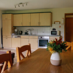 Wohnküche Blick von einem Esstisch mit Blumenstrauß auf die Küchenzeile der Wohnküche.