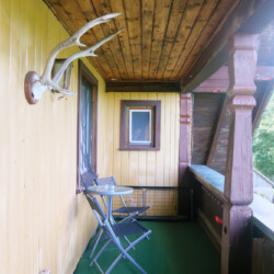 Balkon Balkon mit grünem Boden, kleinem Tisch und Holzverkleidung. Links an der Wand ein Geweih.