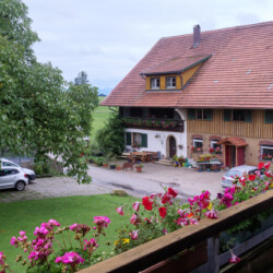Blick auf das Bauernhaus vom Balkon Im Vordergrund Blumen am Balkon, im Hintergrund ein großes Bauernhaus.